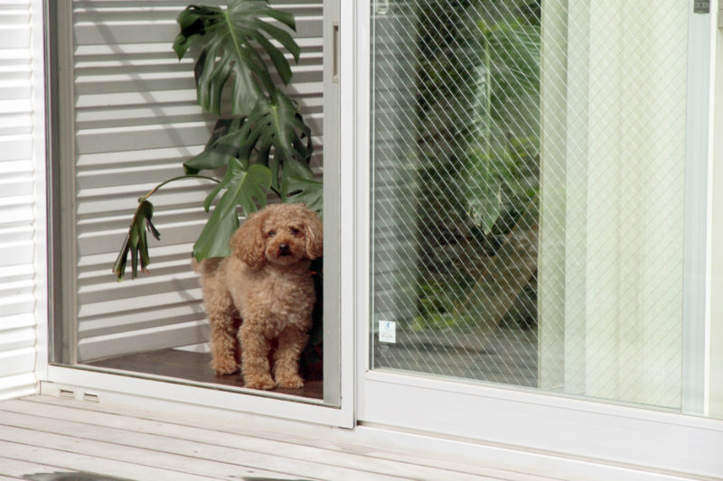 平塚　自由設計の写真