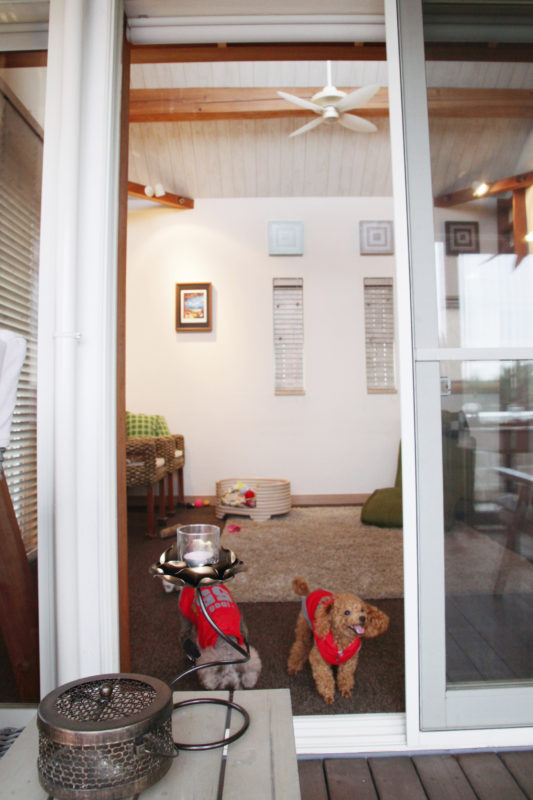 大磯　自由設計の写真