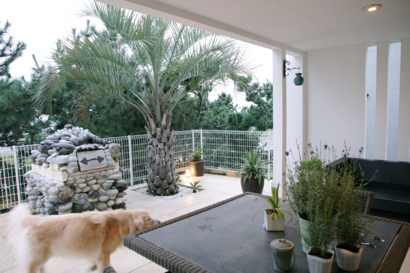 大磯　自由設計の写真